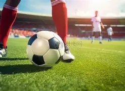 四川青少年,户外运动技,能锦标赛完,体育彩票,足彩,足球彩票,牛博网彩票,足彩比分直播,足球比分直播,牛博网彩票足球,彩票,彩票网,牛博网彩票网,福利彩票